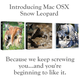 Illustration for article titled Snow Leopard Box Redesign Gallery